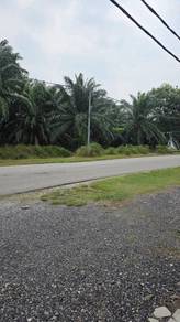 Agricultural Land in Puncak Alam, SGR