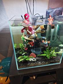 Aquarium 1 kaki