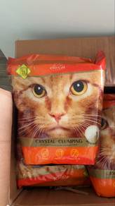 Cats dirt