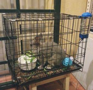 Small Animals Pet Boarding