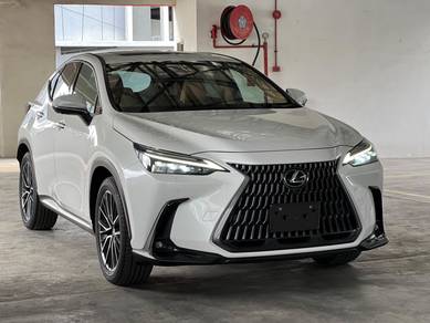 Lexus NX 250 LUXURY in Bandar Sungai Long, SGR