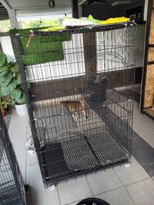 sangkar kucing & burung
