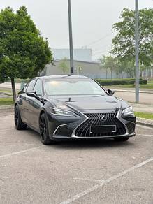 2021 Lexus ES 250 LUXURY