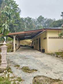 Semi-Detached House For Rent in Lenggeng,NSN