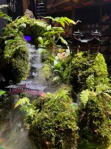 Big Paludarium shallow tank