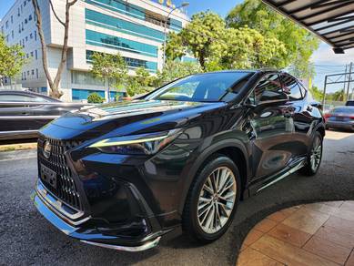 2023 Lexus NX 250 LUXURY