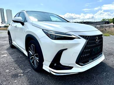 2023 Lexus NX 250 LUXURY