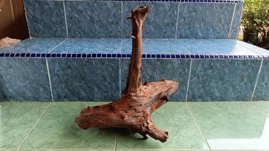 kayu aquarium - Driftwood tenggelam