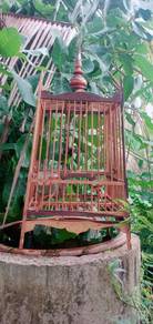 sarang & burung