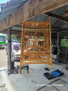 sarang burung