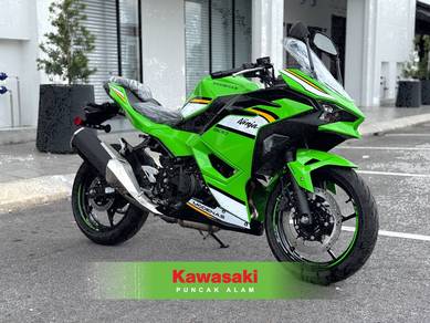 Kawasaki Ninja 500 SE