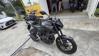 Yamaha MT250
