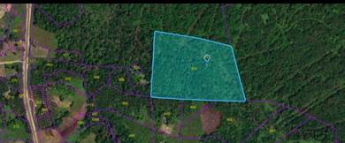 Agricultural Land in Kuching, SWK