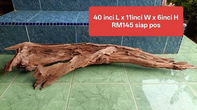 aquarium driftwood panjang body lebar