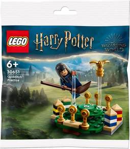 LEGO Harry Potter 30651 Quidditch Practice