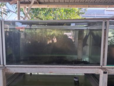3 kaki aquarium tank