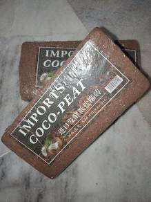 Sabut kelapa tanaman cocopeat