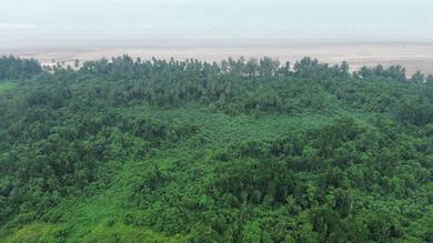 Agricultural Land in Kuching, SWK