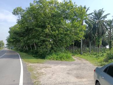 Agricultural Land in Tasek Gelugor, PNG