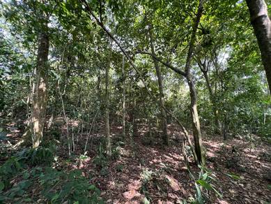 Agricultural Land in Kamunting, PRK