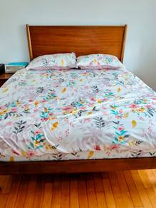 Queen Bed and Mattress