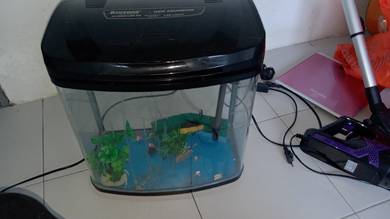 masih elok pickup sendiri 