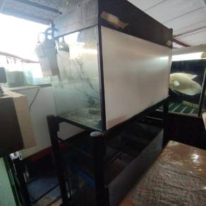 rumah ikan 