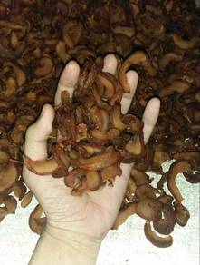 Asam Keping Ori