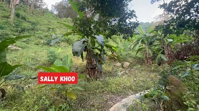 Agricultural Land in Relau, PNG