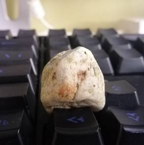 Rare Stone Puppy Head