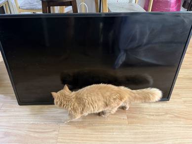 SAMView Google TV 50” — NEGO