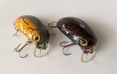 Eupro Mini Beetle