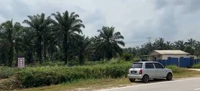 Agricultural Land in Pekan Nanas, JHR