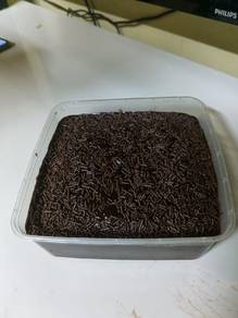 kek coklat moist leleh