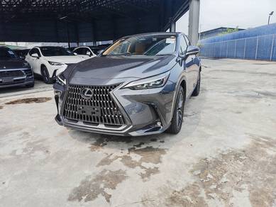 Lexus NX 250 LUXURY in Chan Sow Lin, KUL
