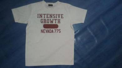 Baju Nevada 775 (M)