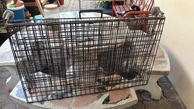 Sangkar Kucing 