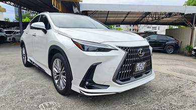 2023 Lexus NX 250 LUXURY
