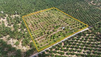 Agricultural Land in Batu Pahat, JHR