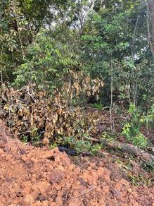 Residential Land in Pekan Nanas, JHR