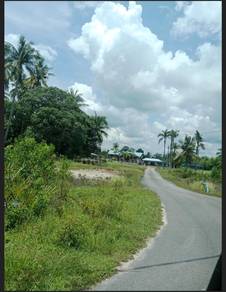 Agricultural Land in Pekan, PHG