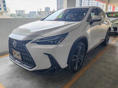2023 Lexus NX 250 LUXURY