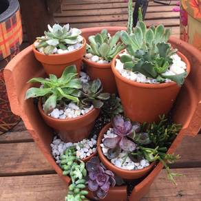 Used Large Ceramic Flower Pot