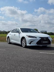 2022 Lexus ES 250 LUXURY
