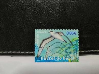 2007 France Stamp Petrel Endangered Bird