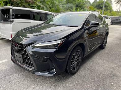 Lexus NX 250 LUXURY in Bangi, SGR