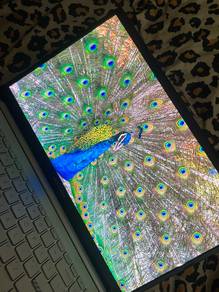 Asus Vivobook 15 Pro OLED