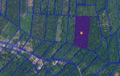 Agricultural Land in Selama, PRK