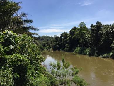 Agricultural Land in Hulu Selangor, SGR