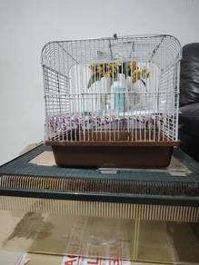sangkar hamster 
